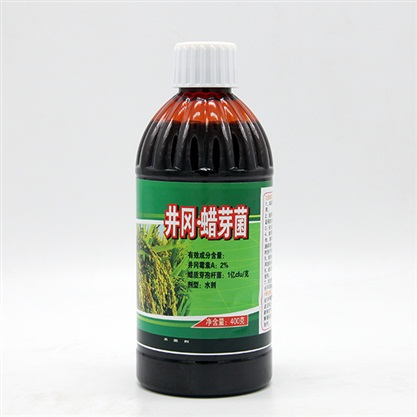 Well ridge and wax bud bacteria